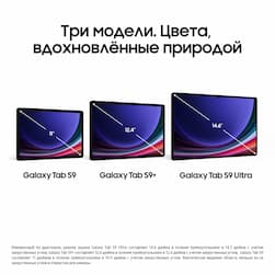 Планшет 14.6″ Samsung Galaxy Tab S9 Ultra 5G 1024Gb, графитовый (РСТ)— фото №2