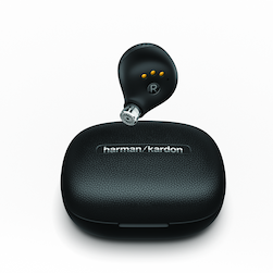 Беспроводные наушники Harman Kardon FLY TWS, черный— фото №2